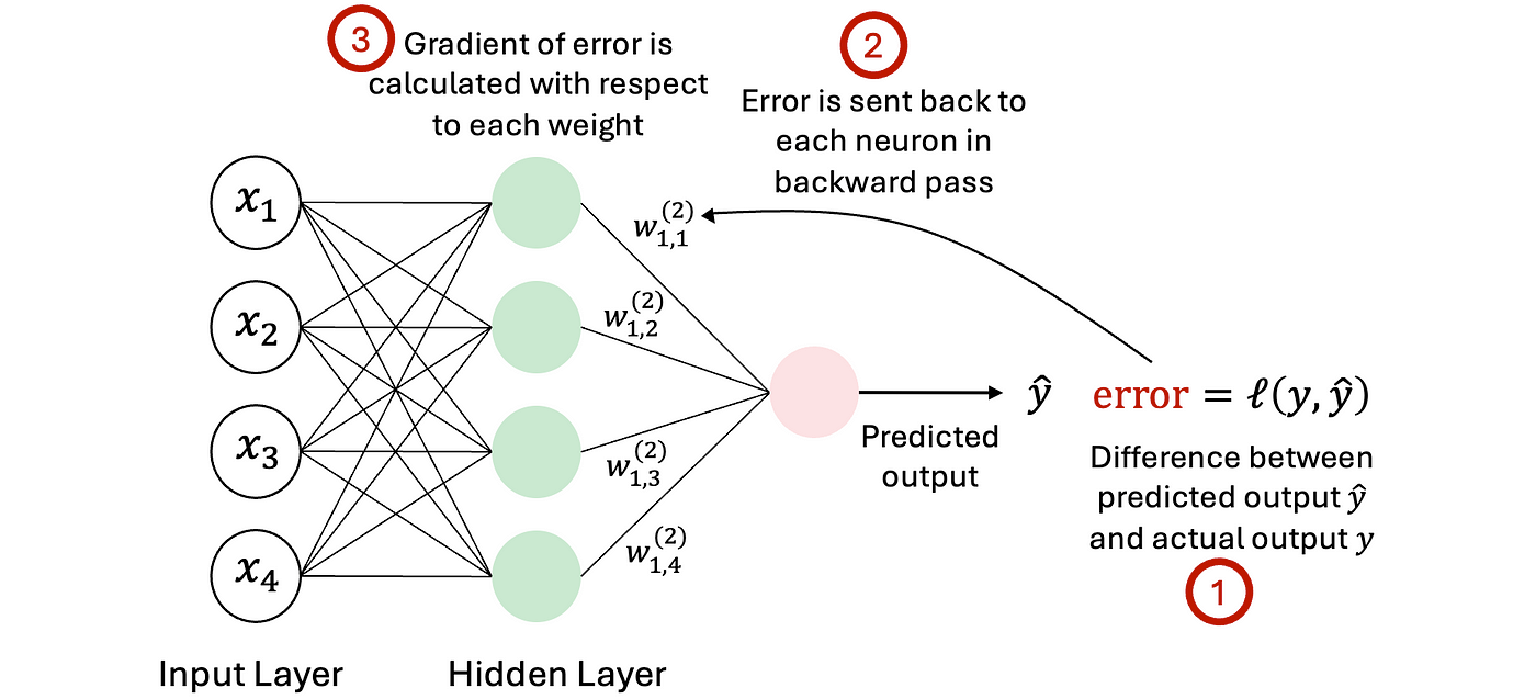 Backward propagation of gradients through a neural network